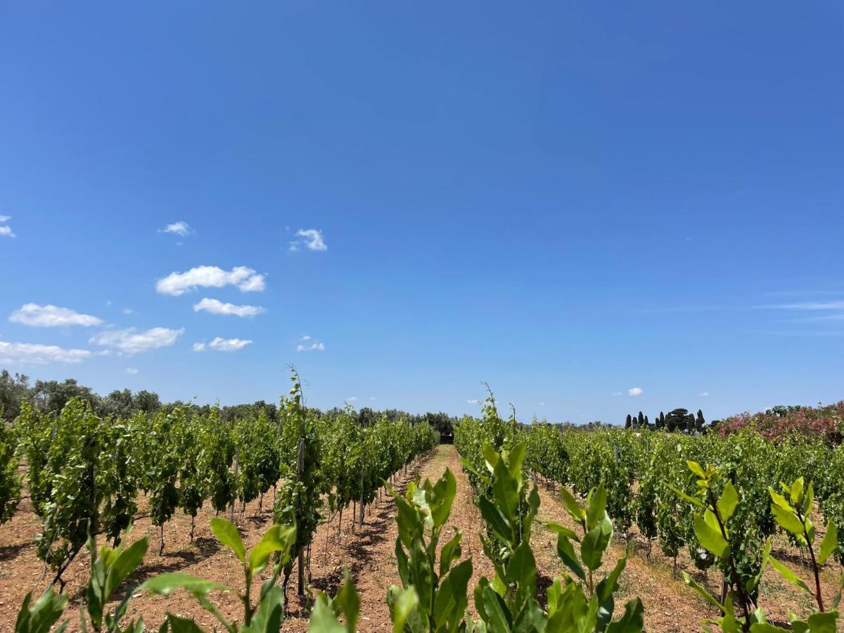 Agriturismo Terra Rossa Отранто Экстерьер фото