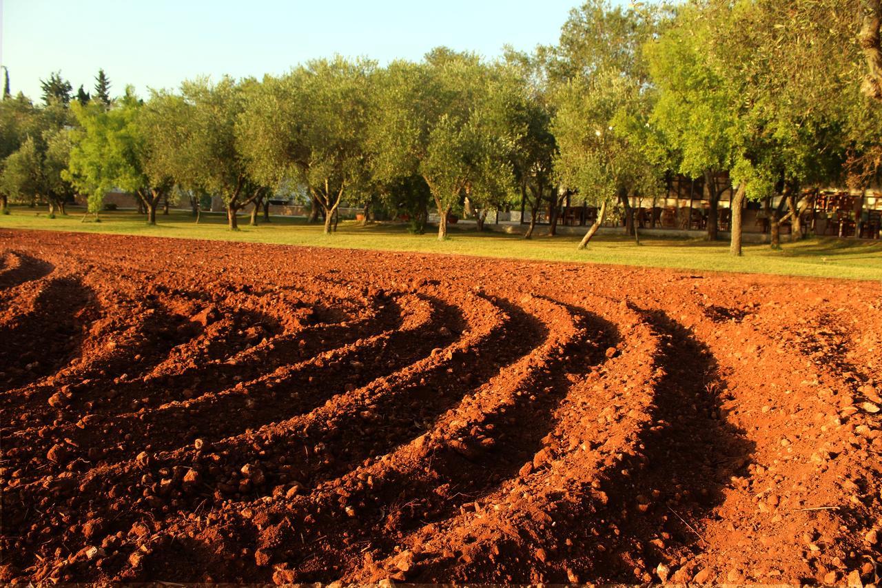 Agriturismo Terra Rossa Отранто Экстерьер фото