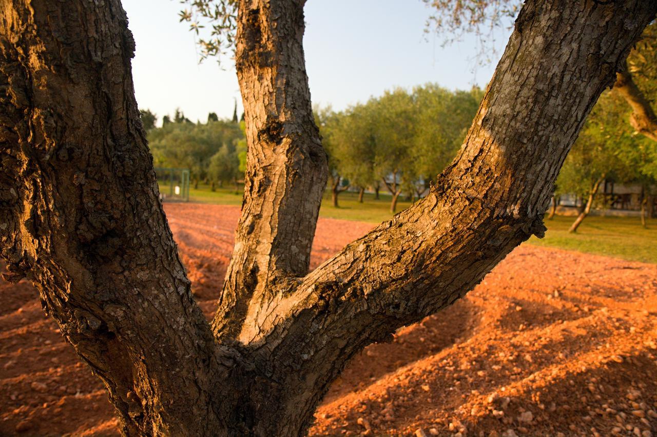 Agriturismo Terra Rossa Отранто Экстерьер фото